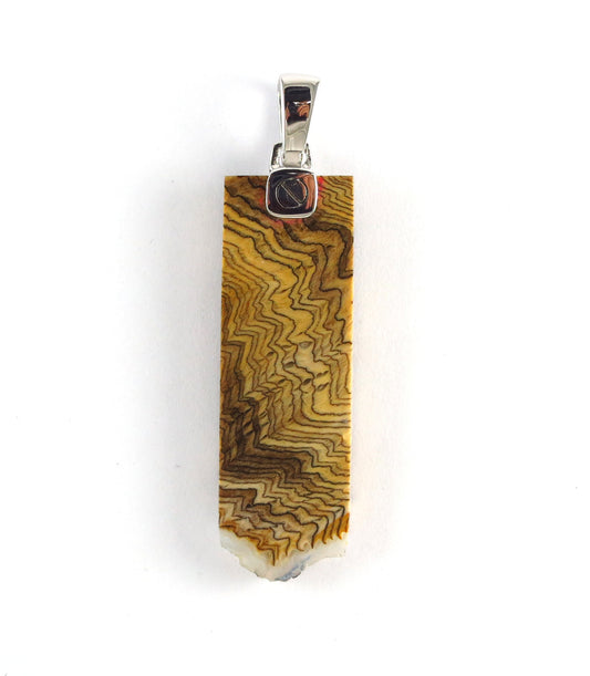 Petrified Wood Fossil One-of-a-Kind Pendant Sterling Silver Necklace I Jan Leslie