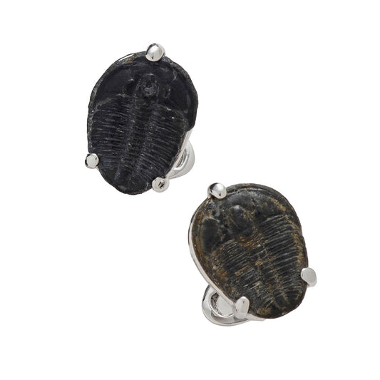 Delta Trilobite Fossil Sterling Silver Cufflinks | Jan Leslie Cufflinks and Accessories. 